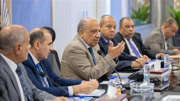 وزيرا الإنتاج الحربي والكهرباء يتباحثان بشأن تأمين احتياجات شركات الكهرباء من المواد والمستلزمات.
