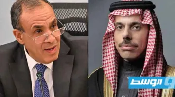 وزيرا خارجية مصر والسعودية يناقشان السبل المتاحة لإنهاء النزاع في غزة