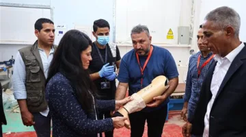 وزيرة التخطيط: الحكومة تسعى لتوفير أفضل الأجهزة التعويضية بأعلى معايير الجودة والكفاءة