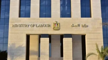 «وظائف حقيقية برواتب مغرية».. المتطلبات والتخصصات اللازمة وطريقة التقديم