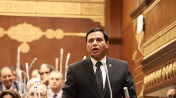 وكيل دفاع الشيوخ: تصريح الرئيس السيسي يكشف زيف الحملات التي يروج لها الخونة