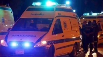 وفاة 3 أفراد نتيجة تصادم قطار بهم في منطقة غير مخصصة لعبور المشاة بطوخ