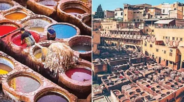 “يوم جديد” يكشف تاريخ صناعة الدباغة في مدينة فاس المغربية