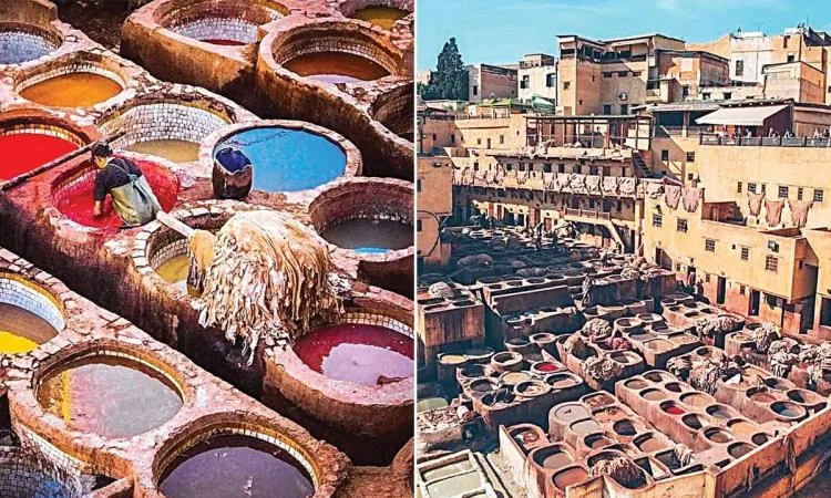 “يوم جديد” يكشف تاريخ صناعة الدباغة في مدينة فاس المغربية “يوم جديد” يكشف تاريخ صناعة الدباغة في مدينة فاس المغربية