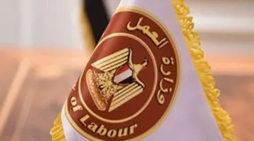 10,000 جنيه شهريًا: فرص عمل في شركة مواد غذائية بالمعادي | التخصصات وطرق التقديم