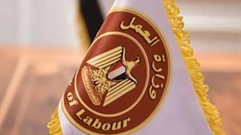 10,000 جنيه شهريًا: فرص عمل في شركة مواد غذائية بالمعادي | التخصصات وطرق التقديم 10,000 جنيه شهريًا: فرص عمل في شركة مواد غذائية بالمعادي | التخصصات وطرق التقديم