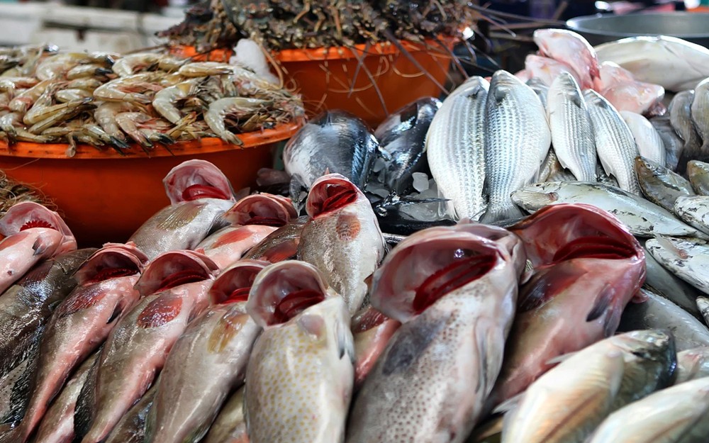 سعر السمك والجمبري