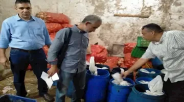 15 مليون جنيه كغرامة.. إحالة مالكي المخابز المخالفة في الجيزة إلى النيابة