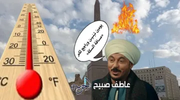 توقعات الطقس ليوم الجمعة 1-8-2025.. درجات الحرارة من القاهرة حتى أسوان