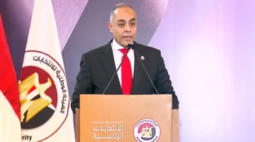 “الهيئة الوطنية للانتخابات”: تطبيق إلكتروني آمن لمتابعة تصويت المصريين في الخارج