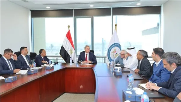 وضع استراتيجية لإنشاء قاعدة بيانات حول مواقع الثروات المعدنية في مصر