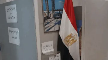الهيئة الوطنية للانتخابات: التصويت مستمر في السفارات المصرية بالخارج.. ولوس أنجلوس تفتح آخر لجنة اليوم