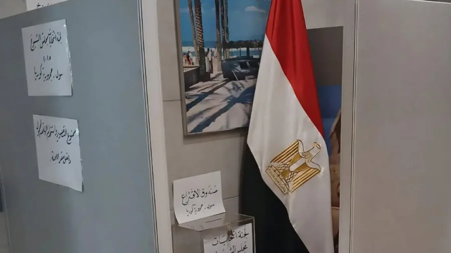الهيئة الوطنية للانتخابات: التصويت مستمر في السفارات المصرية بالخارج.. ولوس أنجلوس تفتح آخر لجنة اليوم