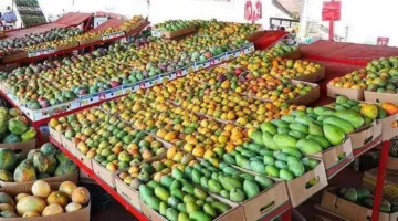أسعار المانجو في سوق العبور اليوم الجمعة 1 أغسطس 2025