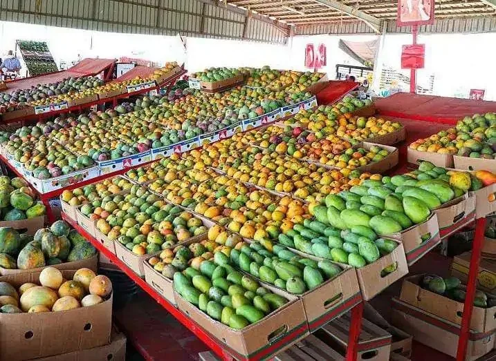 أسعار المانجو في سوق العبور اليوم الجمعة 1 أغسطس 2025