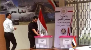 سفيرة مصر في البرازيل: مشاركة فعّالة تعكس الانتماء الوطني خلال انتخابات مجلس الشيوخ في مقر البعثة
