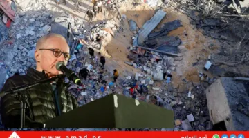 الكاتب الإسرائيلي غروسمان: الأحداث في غزة تُعتبر “إبادة جماعية”