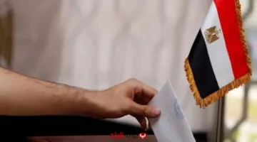 سفيرنا في الدنمارك: توقعات بزيادة كبيرة في الإقبال على مراكز الاقتراع في انتخابات الشيوخ المصرية