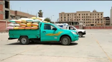 استلام 603.5 ألف طن من القمح المحلي في محافظة الشرقية