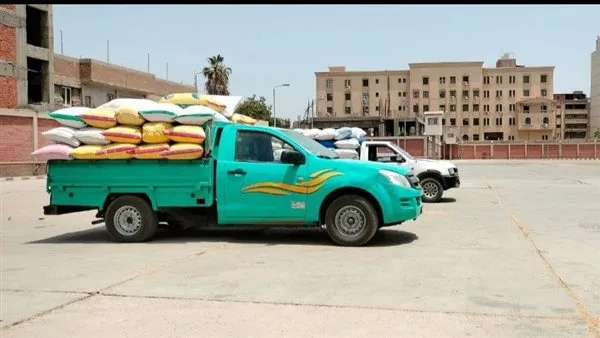 استلام 603.5 ألف طن من القمح المحلي في محافظة الشرقية استلام 603.5 ألف طن من القمح المحلي في محافظة الشرقية