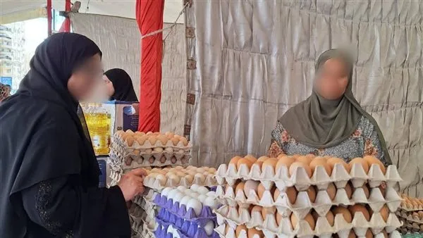 استمرار فعاليات أسواق يوم الجمعة والسبت أسبوعياً في المنصورة استمرار فعاليات أسواق يوم الجمعة والسبت أسبوعياً في المنصورة