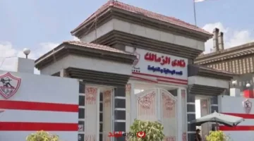 الزمالك يطلق موقعه الرسمي الجديد بتصميم حديث وتجربة مستخدم فريدة.