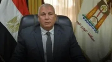 محافظ الوادي الجديد: معالجة مشكلة انقطاع الكهرباء في الفرافرة وقرى الثمانين