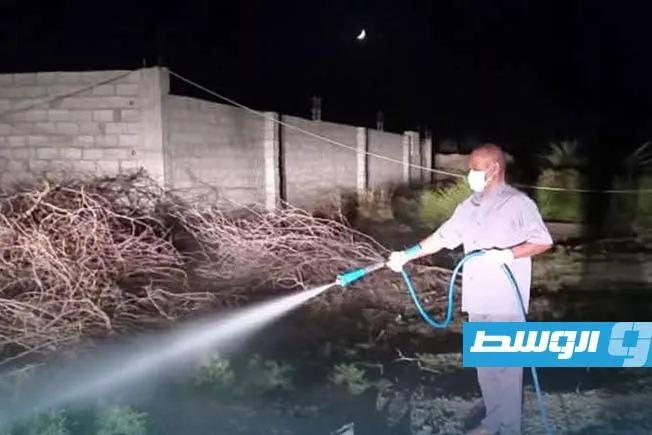 «حملة ميدانية منظمة لمواجهة انتشار العقارب في أوباري»