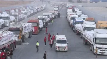 آلاف الأطنان من المساعدات: الهلال الأحمر يمضي قدماً في إرسال قوافل “زاد العز – من مصر إلى غزة”