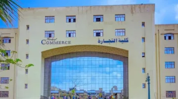 توقعات قبول كليه التجارة 2025.. معايير القبول في الجامعات الحكومية والخاصة والأهلية