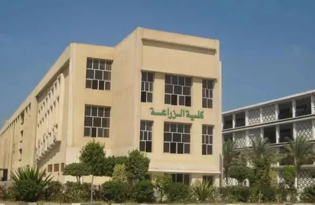 تنسيق كليات الزراعة للعام 2025: المرحلة الأولى للجامعات الحكومية، الخاصة، والأهلية