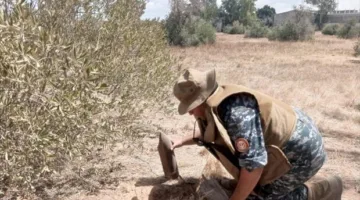 استعادة قذيفة مدفعية من منطقة الكريمية