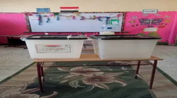 تعليم القاهرة يعلن استكمال استعداداته لانتخابات مجلس الشيوخ 202 بأكثر من 334 لجنة