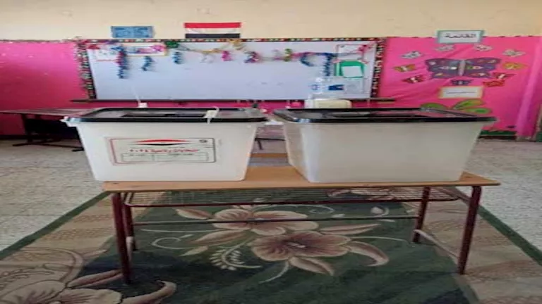 تعليم القاهرة يعلن استكمال استعداداته لانتخابات مجلس الشيوخ 202 بأكثر من 334 لجنة