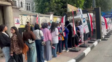 انتخابات مجلس الشيوخ 2025.. تجمّع المئات أمام مراكز الاقتراع في 3 مناطق (صور)