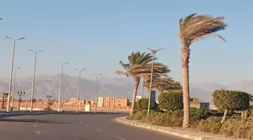 ضباب كثيف ورطوبة عالية.. تفاصيل توقعات الطقس للأيام الستة القادمة من الأرصاد الجوية