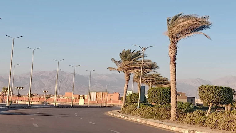 ضباب كثيف ورطوبة عالية.. تفاصيل توقعات الطقس للأيام الستة القادمة من الأرصاد الجوية
