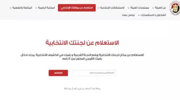 استفسار حول اللجنة الانتخابية لعام 2025: إجراءات رسمية وخطوات دقيقة قبل الذهاب للتصويت في انتخابات مجلس الشيوخ