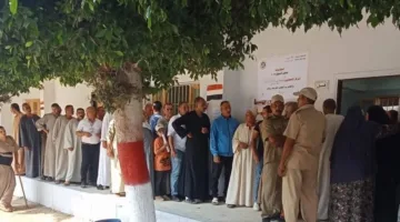 إقبال كبير من الجماهير على المشاركة في انتخابات مجلس الشيوخ بالبحيرة