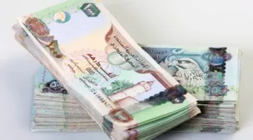 انخفاض قيمة الدرهم الإماراتي في البنوك المصرية بتاريخ 4 أغسطس 2025