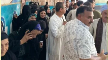 في اليوم الثاني، مشاركة واسعة في التصويت بلجان انتخابات مجلس الشيوخ على مستوى البلاد