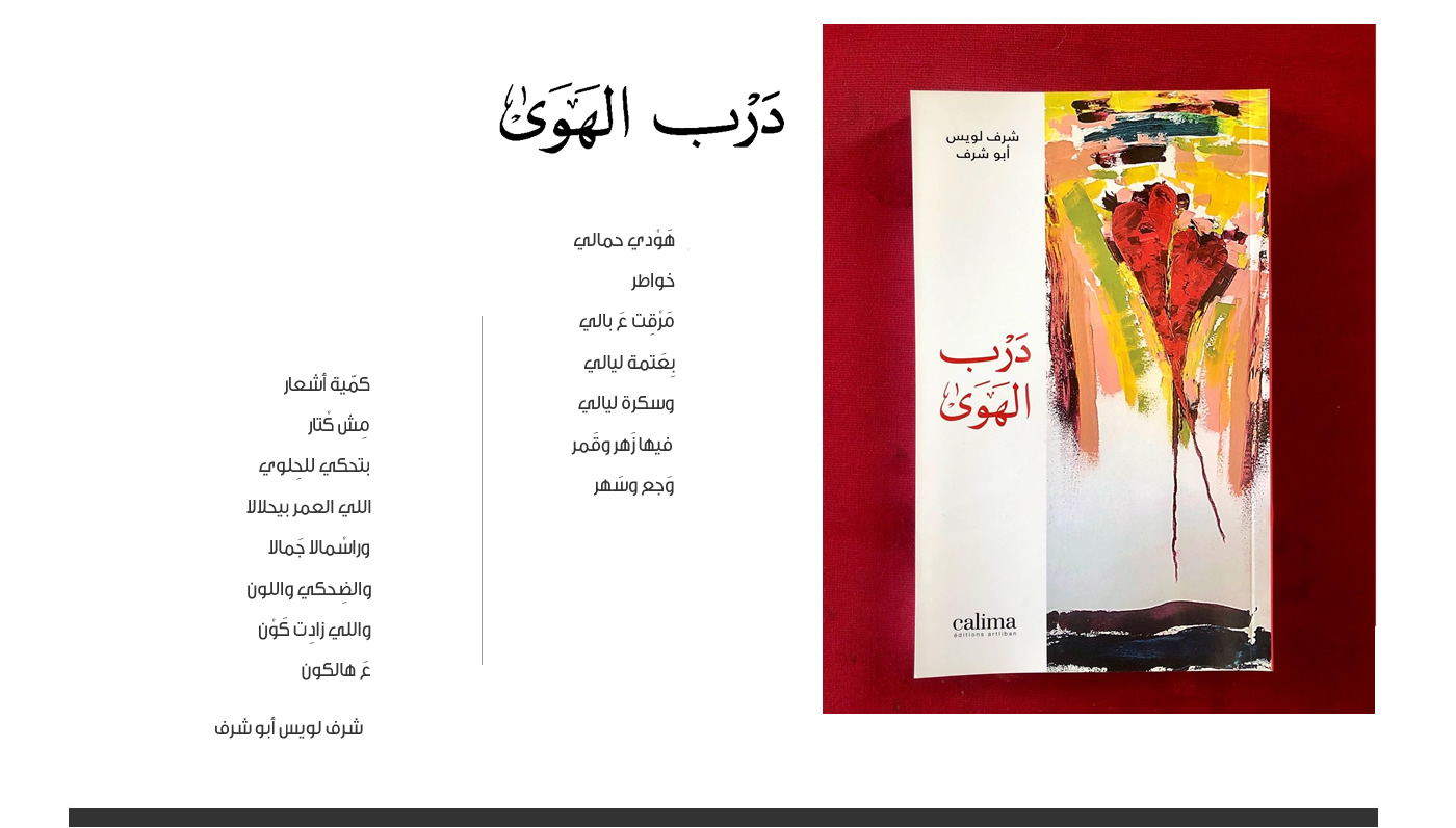 رواية عن دار النشر (النهار).