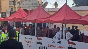 عاجل | نقل حي.. المواطنين المصريين يستمرون في التصويت لانتخابات مجلس الشيوخ 2025