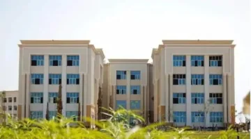 مصاريف جامعة المنصورة الجديدة لعام 2025: التفاصيل الشاملة والرسوم الإضافية الكاملة