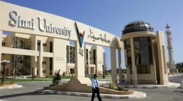 عروض خاصة للطلاب الجدد في جامعة سيناء مع تخفيضات تصل إلى 40%