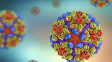 انتشار فيروس شيكونغونيا يثير مخاوف عالمية: هذه هي أعراضه وما ينبغي معرفته