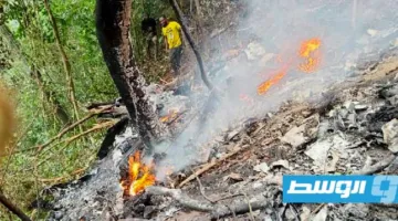 مصرع وزيرين الدفاع والبيئة في غانا جراء سقوط مروحية عسكرية