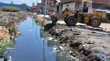 جهود الوحدات المحلية في دمياط مستمرة للقضاء على النفايات ومكافحة الحشرات والبعوض في المصارف