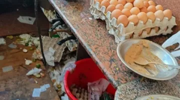 مصادرة وإتلاف 350 كجم من المواد الغذائية غير المناسبة للاستهلاك البشري في رأس البر