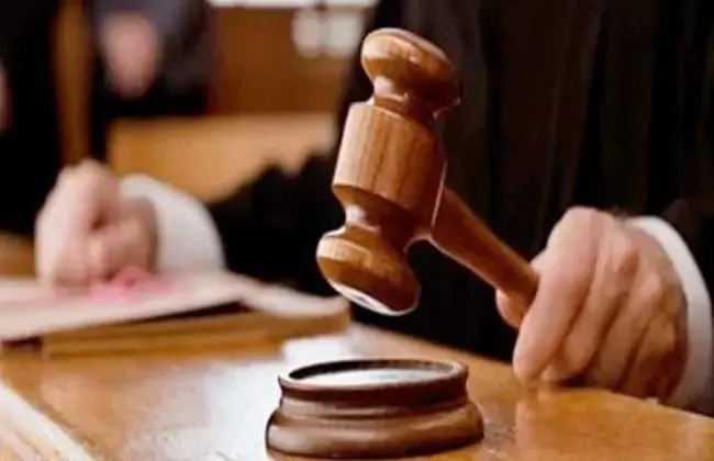 تأنيب القاتل الذي تعاون مع شقيقته في قتل والدته: الحكم بالسجن 15 عامًا في المنيا